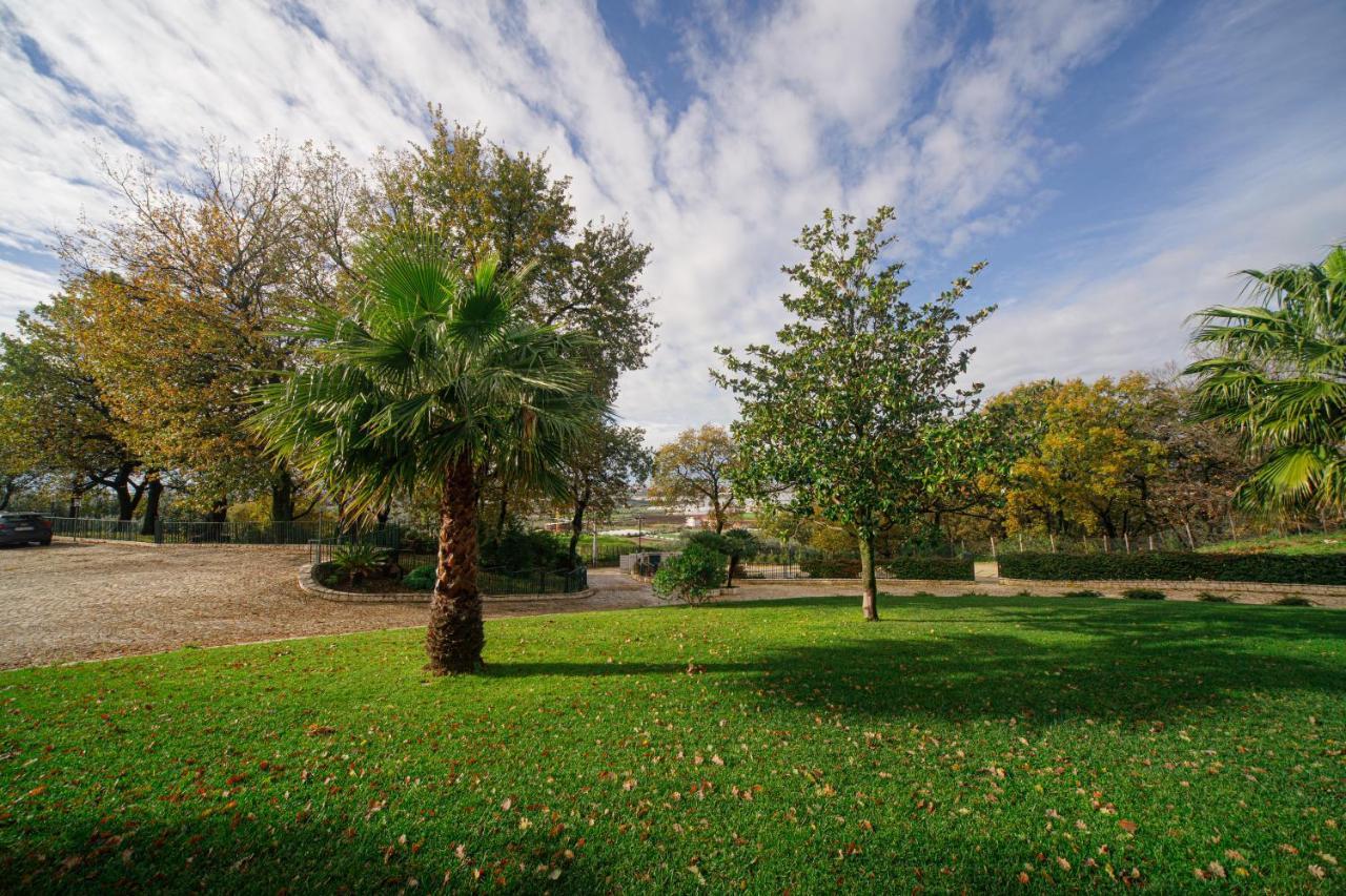 Aria - Villa Di Campagna Montecorvino Rovella Bagian luar foto